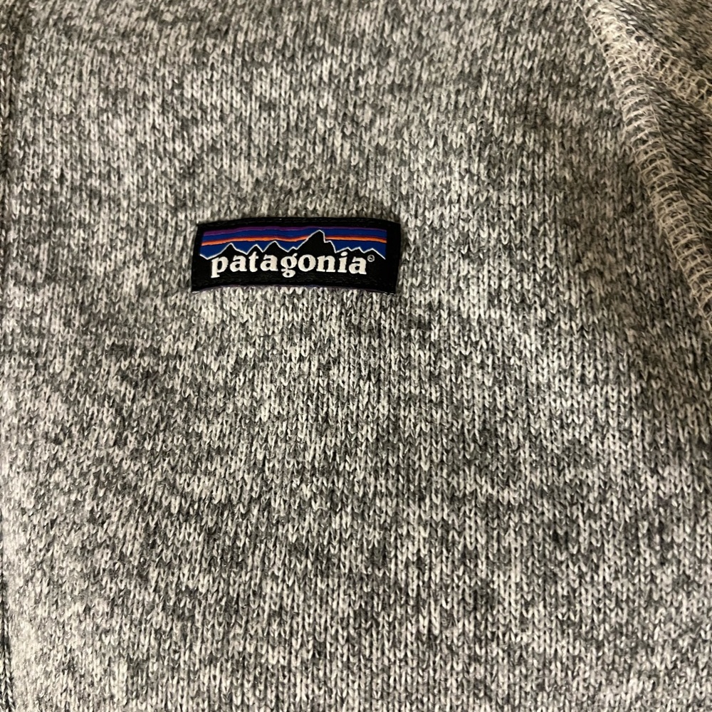 Patagonia Jacket  in Gray